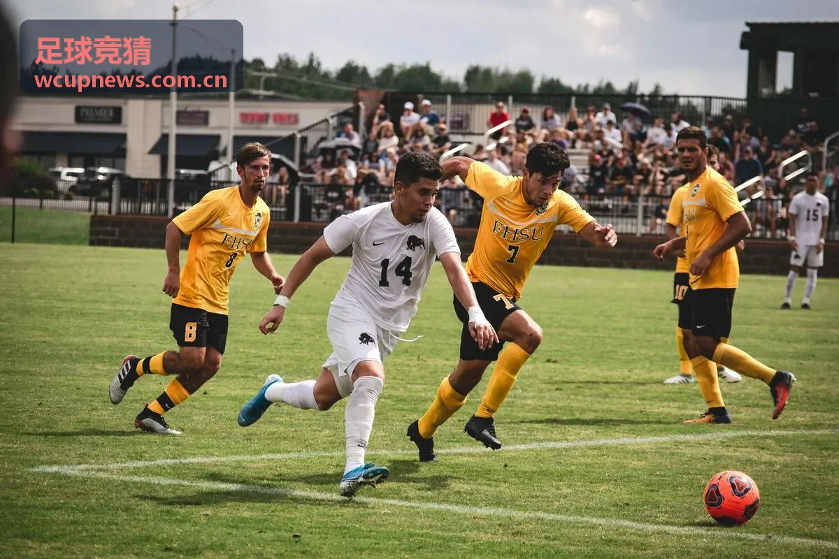足球竞猜指数阅读资源